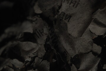 A burnt sheet of papper with text on it, close-up
