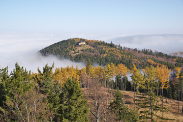 Fog and mist crawls up the hills reaching a forest with autumn colored trees. Serene quiet wood...
