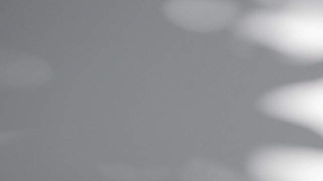 Wall interior background, studio and backdrops show products.with shadow from window color white and grey. background for text insertion and presentation product	