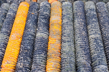 support de culture des huitres