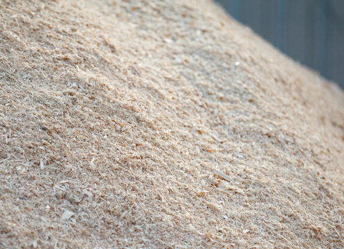 Big pile of sawdust closeup