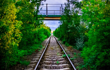 Fotografia © Michał