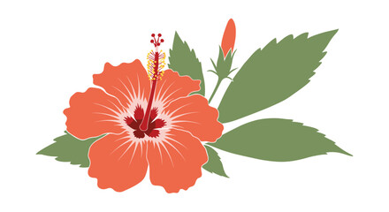 Vibrant hibiscus flower illustration perfect for tropical designs, summer promotions, and branding needs