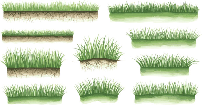Create a watercolor hand drawn ;set of grass line cad and silhouettes isolated on white background. Ground cover for elevation architectural element, side view, grass section. Turf coating vector art 