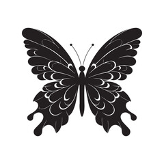 Black Butterfly Silhouette Vector on White Background.