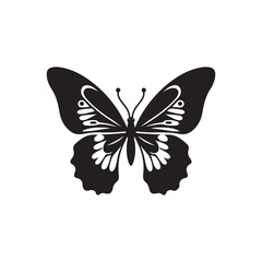 Black Butterfly Silhouette Vector on White Background.