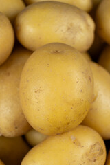 Organic Unpeeled Potatoes Macro, Healthy Raw Vegetable Background.