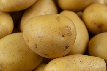 Fresh Raw Unpeeled Potatoes Close-Up, Natural Farm Vegetables.