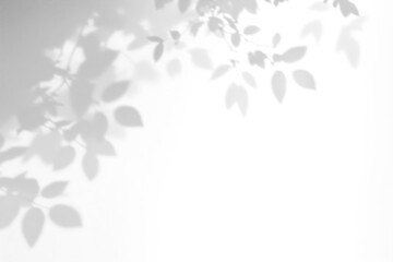 shadow overlay effects of realistic abstract natural tree leaves shadow on wall background,Summer sunlight dappled shadow overlay effect,abstract shadow background with leaves