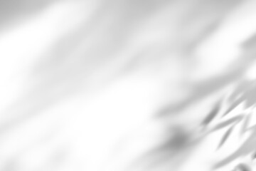 shadow overlay effects of realistic abstract natural tree leaves shadow on wall background,Summer sunlight dappled shadow overlay effect,abstract shadow background with leaves