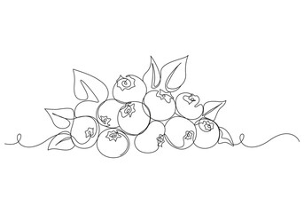 Blueberries in continuous line art drawing style. Group of blueberry fruits and leaves, Vector line continuous blueberry branch with leaves. Hand drawn outline illustration