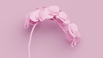 Elegant pink matte orchids displayed in a 3D rendering against a soft pink background