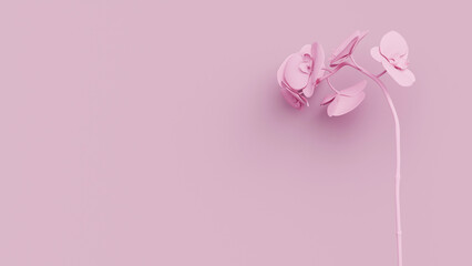 Delicate pink matte orchids in a serene, minimalist pink background