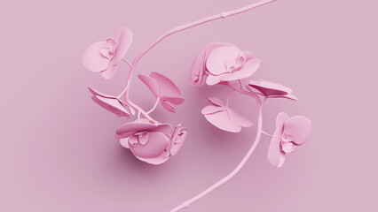 Close-up view features stunning pink matte orchids gracefully arranged over pink background