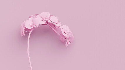 Stunning pink matte orchids elegantly arranged against a soft pastel background for a serene aesthetic