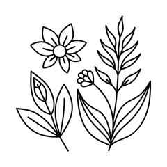 Simple outline botanical elements with flowers and leaves