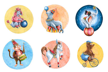 Circus cartoon animals collection, bear on bicycle, white horse, elephant, monkey, seal, poodle.