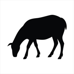 Black silhouette of a sheep grazing on a white background
