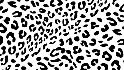 White and black leopard skin texture. Animal print background. Luxury wallpaper.