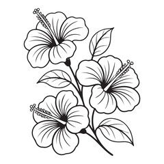 Black and White Hibiscus Flower Vector Illustration with Leaves
