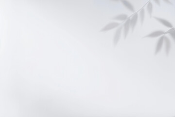 Soft leaf shadow minimal white background serene composition with gentle plant silhouette and airy negative space