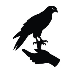 Silhouette of a falcon perched on a gloved hand