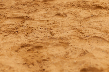 Soft, golden sand forms a textured surface blanketed with footprints, capturing movement from...