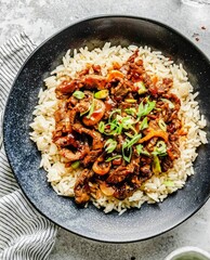 Beef and Rice Bowl with a flavorful sauce