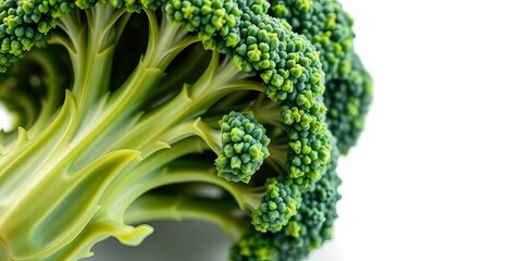 Vibrant green broccoli floret, crisp detail, clean white backdrop,  stem,  white background