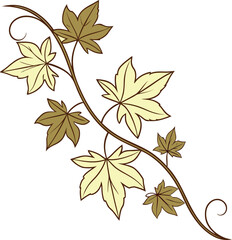 Vector art of vine with autumn leaves, a decorative element with a natural feel