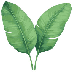 Tropical leaves 3d icons set. featuring banana leaf, greenery, exotic plant, foliage