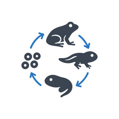 Frog life cycle icon