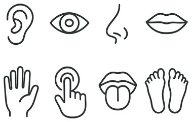 Human senses linear icon set. featuring ear, eye, nose, mouth, hand, touch, tongue, feet symbols