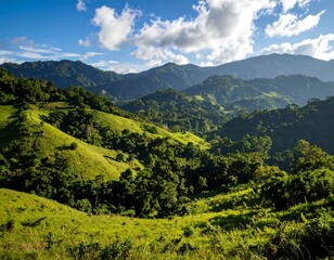 Fototapeta premium Lush mountain valley landscape