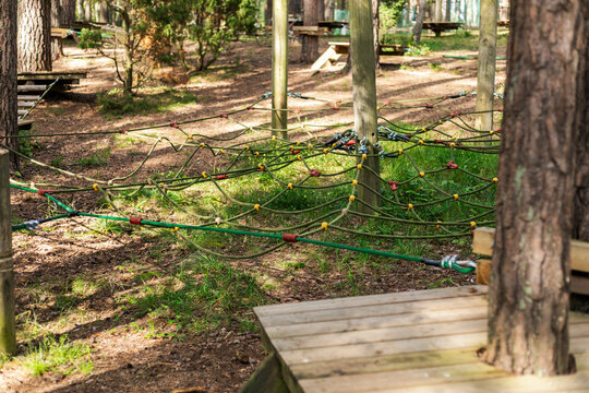 This tree climbing park features a network of ropes and climbing structures situated among tall trees, providing a fun and safe environment for outdoor activities