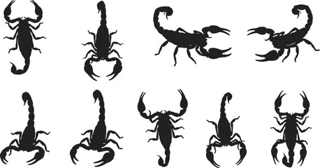 Black scorpion silhouette set featuring ten unique poses with detailed pincers and curved tails, vector illustration for wildlife, nature, danger themes