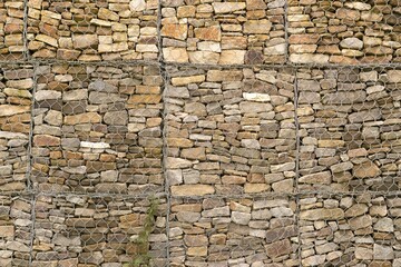 Majestic Man Reflects on Ancient Stone Wall
