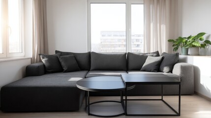 Minimalist living space featuring a gray fabric sofa and open layout, ideal for modern home styling, decor ideas, or architectural visualization.