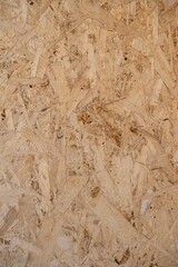 Sanded Wood Grain Close-Up