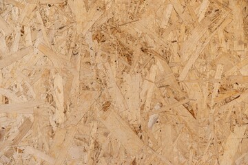 Worn Plywood with Wood Chips Close-Up