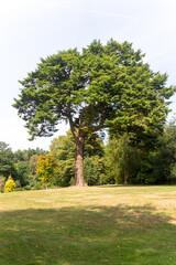 Virginia Water Paths