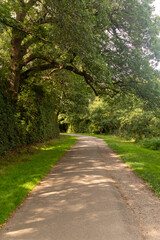 Obraz premium Virginia Water Paths