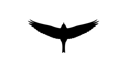 Black silhouette of a flying bird with fully spread wings isolated on white.