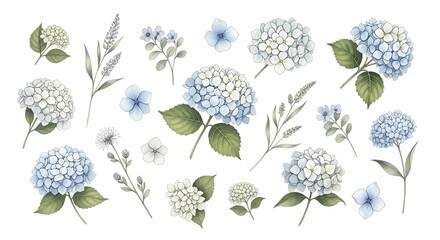 Beautiful Watercolor Hydrangeas and Delicate Greenery Collection for Floral Art and Decorative Designs