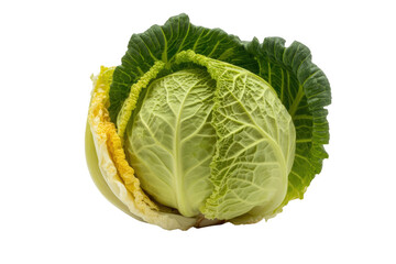Fototapeta premium A whole savoy cabbage with green and yellowish leaves isolated on a transparent background. background removed