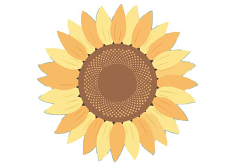 Colorful daisy flower illustration, cheerful design, natural beauty, isolated on white background
