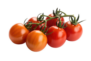 A cluster of ripe red and orange tomatoes on the vine, isolated on a transparent background. background removed