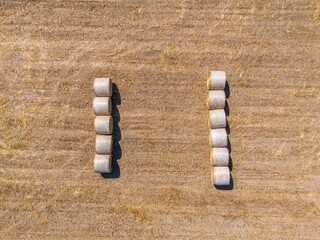 Round bales of hay in a field