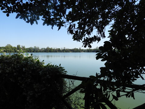 Oasi di Porto, Fiumicino