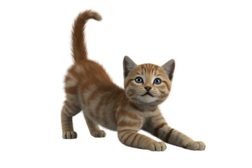 Obraz premium An adorable ginger kitten stretches playfully on a transparent background. background removed